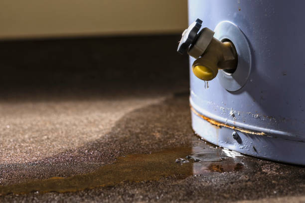 Best Local water damage restoration  in West Wendover, NV