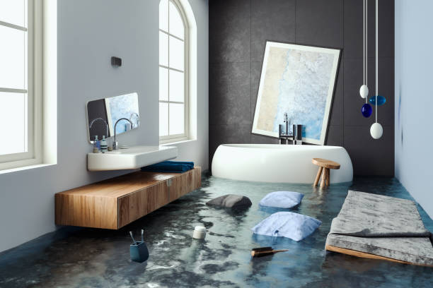 Best Flood damage cleanup  in West Wendover, NV
