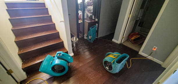 Best Commercial water damage restoration  in West Wendover, NV
