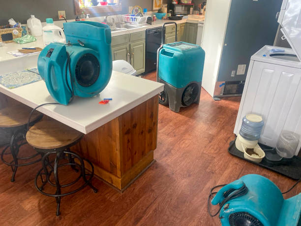 Best Fire Damage Restoration  in West Wendover, NV