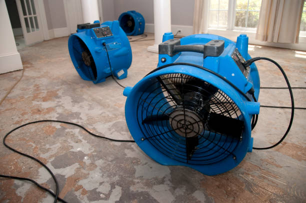 Best Sewage cleanup and water damage restoration  in West Wendover, NV