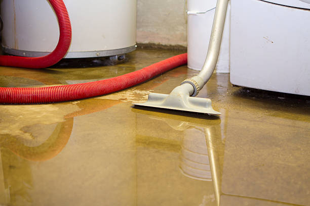 Best Water damage restoration near me  in West Wendover, NV