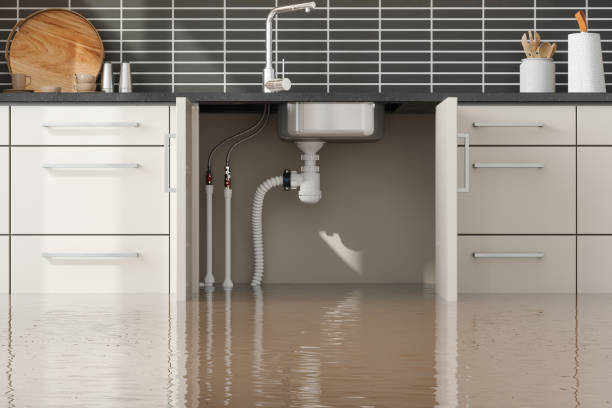 Carpet water damage restoration in NV
