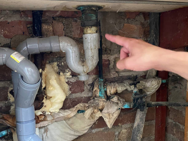 Best Water damage cleanup near me  in West Wendover, NV