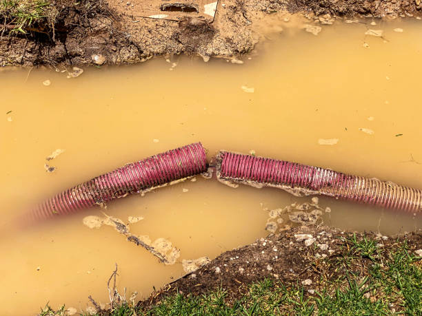 Best Local water damage restoration  in West Wendover, NV