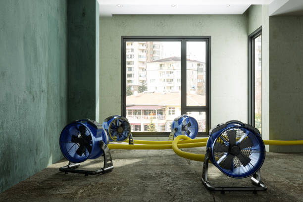 Best Residential water damage restoration  in West Wendover, NV