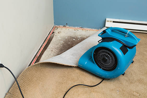 Reliable NV Water damage restoration Solutions